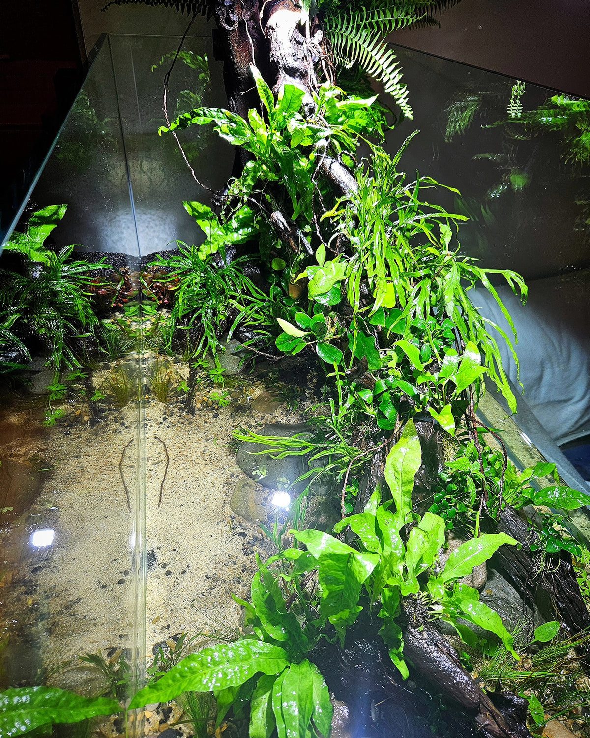 Instagram post by @earl_scapes