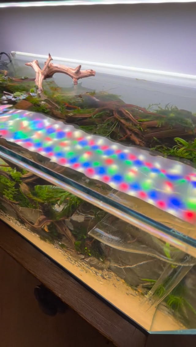Instagram post by @aquatikswe