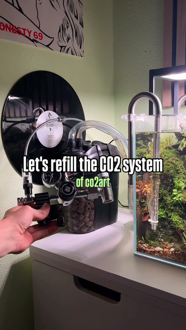 Instagram-opslag af @jj.scaping.a